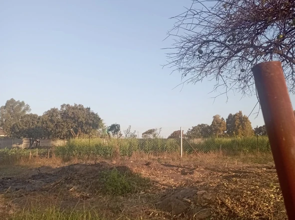 Stands & Residential Land
