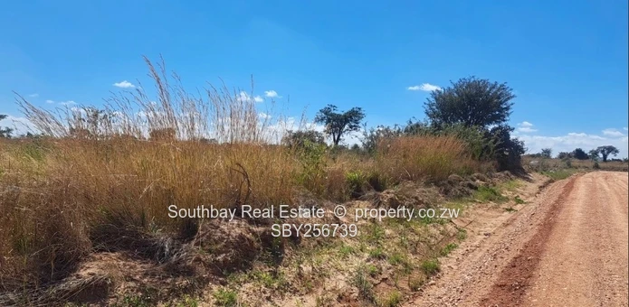 Chiedza Park Residential stands for sale