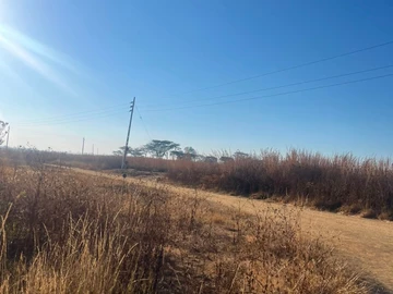Land