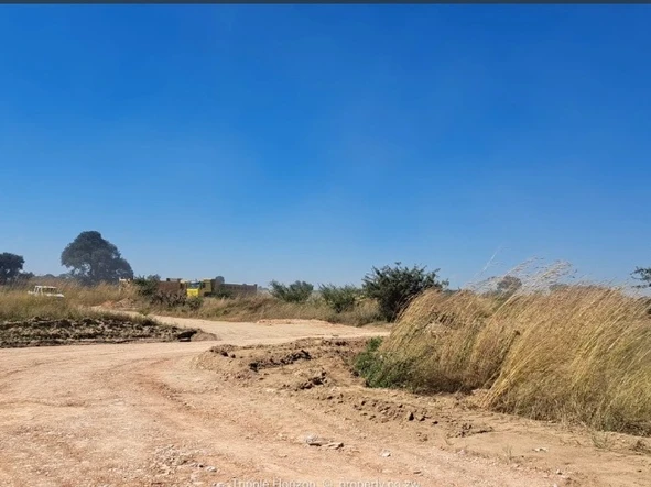 Stands & Residential Land