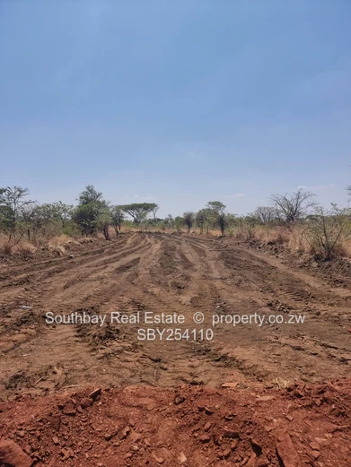 Norton (Legacy Gated Community Estate) 