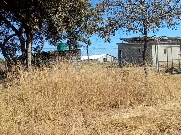 Farm & Agricultural Land