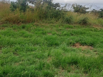 Commercial & Industrial Land