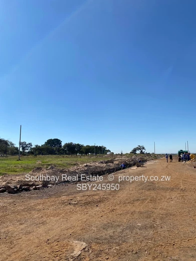 Hatfield Stands for Sale - 3km from Airport 